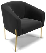 Poltrona Decorativa Pé de Ferro Dourado Stella Suede D03 - D'Rossi - Preto