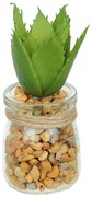 Vaso Com Suculenta Folha Alta Verde Escuro 10x7 cm F04 - D'Rossi