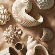 Enfeite Decorativo "Concha" Em Poliresina Off White 17x34 cm M02 - D'Rossi