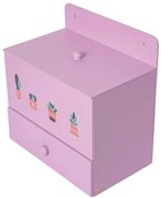 Baú com Gaveta Suculenta