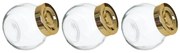 Kit 3 Porta Temperos Em Vidro Com Tampa Metálica Dourado 170ml F04 - D'Rossi