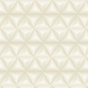 Papel de Parede Triângulo Due