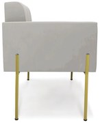 Poltrona Pé de Ferro Dourado para Sala Kit 2 Elisa Veludo D03 - D'Rossi - Cinza