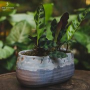 Vaso Jardineira Cerâmica Artística