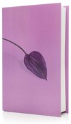Livro Decorativo de Papel para Ornamentação Lavanda 27x17x5cm F04 - D'Rossi