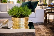 Centro de Mesa Spin Grande St. James - Ouro 24K  Ouro 24K