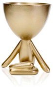 Vaso Decorativo Bob Robert Planta Em Poliresina Dourado 14,5x11x10 cm M02 - D'Rossi