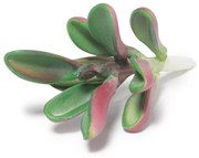 Suculenta Artificial Decorativa 10,5 x 6cm M02 - D'Rossi