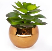 Vaso Decorativo Dourado Com Suculenta Artificial Sedum Hirsutum F04 - D'Rossi