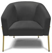 Poltrona Decorativa Pé de Ferro Dourado Kit 2 Stella Sintético D03 - D'Rossi - Preto