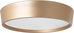 Plafon De Sobrepor Redondo Dourado Ø45cm Ravena