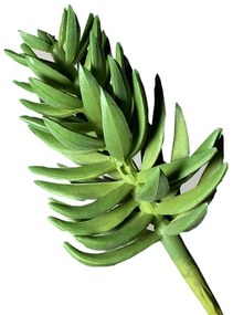 Folhagem Artificial Suculenta 11cm - D'Rossi