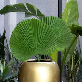 Folha Artificial Latânia Leque Realista Verde Escuro 83 Cm - D'Rossi