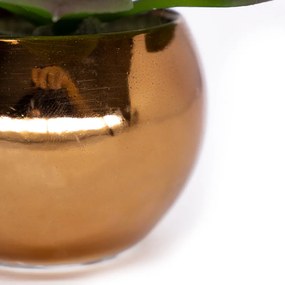 Vaso Decorativo Dourado Com Suculenta Artificial Sedum Hirsutum - D'Rossi