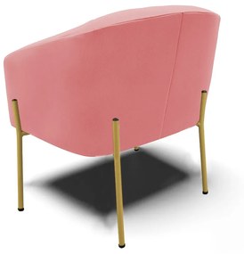 Poltrona Decorativa Pé de Ferro Dourado Kit 2 Stella Suede D03 - D'Rossi - Rose