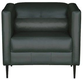 Poltrona Decorativa Pé De Ferro Iráklio Couro Verde G58 - Gran Belo
