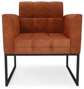 Poltrona Elisa Corano Nozes Base Metálica Industrial Preto D03 - D'Rossi