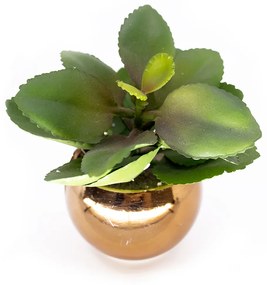 Vaso Decorativo Dourado com Suculenta Artificial Folha Baixa 15x8 cm F04 - D'Rossi