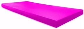 Colch�O Para Visita / Colchonete Orthovida 180X65X4Cm (Vermelho)