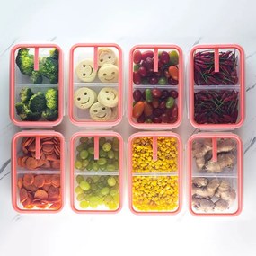 Kit 15 Potes com Travas e Divisória 730ml