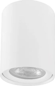 Plafon De Sobrepor Redondo Alum&amp;amp;#xED;nio Lisse Ii - BRANCO