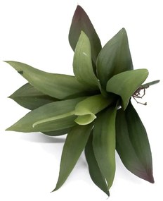 Folha Artificial Agave com Raiz X13 para Arranjos Verde 25 cm F04 - D'Rossi