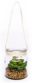 Folhagem Suculenta de Pendurar com Vaso de Vidro Verde 11,5 cm F04 - D'Rossi