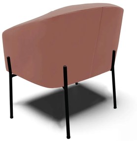 Poltrona Decorativa Pé de Ferro Preto Kit 2 Stella Veludo D03 - D'Rossi - Rose