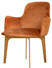 Poltrona Amazonas - Dourado Soleil - Tecido Veludo Terracota  Kleiner