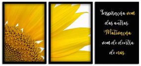 Kit 03 Quadros Decorativos "Motivação" 43x33 cm - D'Rossi