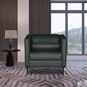 Kit 2 Poltronas Decorativas Pés De Ferro Iráklio Couro Verde G58 - Gran Belo