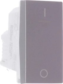 Modulo Interruptor Bipolar Simples Aluminio 10A Orion