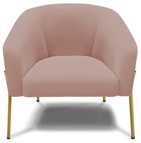 Poltrona Decorativa Pé de Ferro Dourado Kit 2 Stella Veludo D03 - D'Rossi - Rose