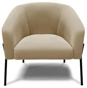 Poltrona Decorativa Pé de Ferro Preto Kit 2 Stella Suede D03 - D'Rossi - Marrom Rato