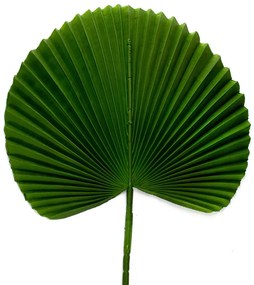 Folha Artificial Latânia Leque Realista Verde Escuro 83 Cm - D'Rossi