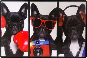 Kit 04 Placas de Mdf Decorativas Dog 19,5x29,5cm - D'Rossi