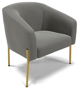 Sofá Namoradeira e Poltrona Pé de Ferro Dourado Stella Suede D03 - D'Rossi - Grafite