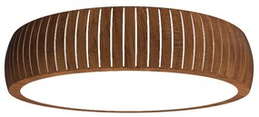Plafon Accord Barril