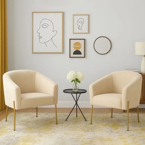 Poltrona Decorativa Pé de Ferro Dourado Kit 2 Stella Suede D03 - D'Rossi - Bege