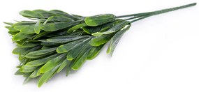 Folhagem Podocarpus com Powder X5 para Cerca Viva Verde 29 cm F04 - D'Rossi