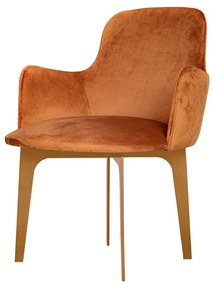 Poltrona Amazonas - Dourado Soleil - Tecido Veludo Terracota Kleiner