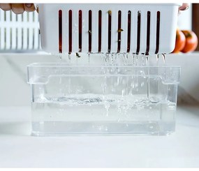 Organizador Clear Fresh Com Cesto 2,2 L
