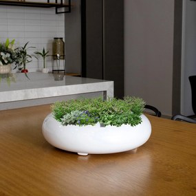 Vaso Bacia Decorativo Redondo Branco M 13x40 cm - D'Rossi