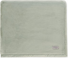 Cobertor Trussardi 100% Microfibra Aveludado Nales Pistacchio - Queen  Queen