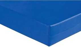 Colch�O D28 Solteir 88X12Cm Imperme�Vel Hospitalar Orthovida (Azul)