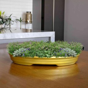 Vaso Bacia Decorativo Osaka Dourado P 7x46x35 cm - D'Rossi