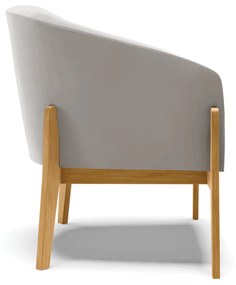 Poltrona Decorativa Base de Madeira kit 2 Stella Veludo D03 - D'Rossi - Cinza