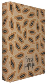Caixa Livro Papaya