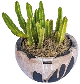 Vaso Cachepô decorativo em Cerâmica Carolina Haveroth - Rakú Alto Brilho