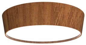 Plafon Accord Orgânico 2 -
